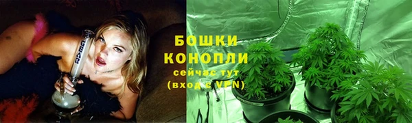 стаф Майский