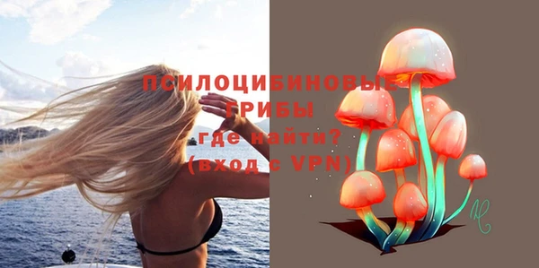 стаф Майский