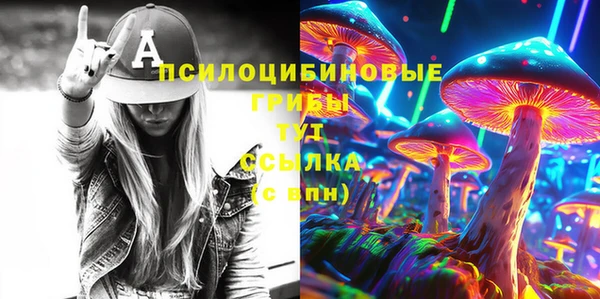 индика Магадан
