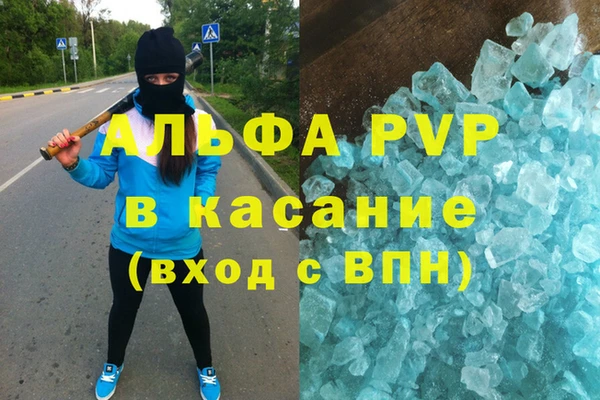 стаф Майский