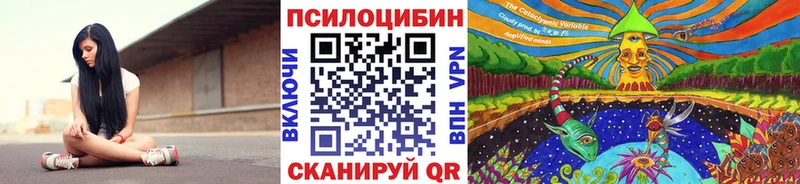 Псилоцибиновые грибы GOLDEN TEACHER Подпорожье