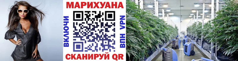 где продают наркотики  Подпорожье  Марихуана LSD WEED 